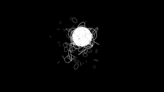 Free Particle Video FX 0009