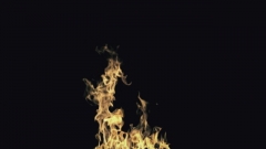 Free Fire Video Visual 0084