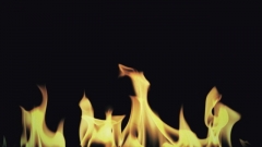 Free Fire Video Visual 0082